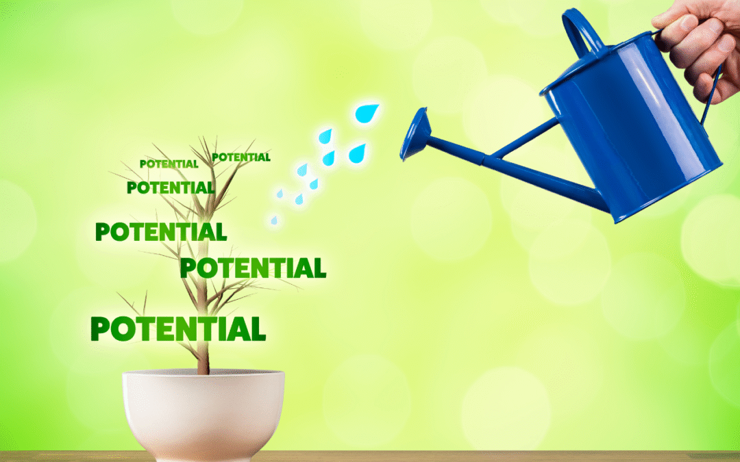 From Surviving to Scaling: Funding Tips for Post-Startup Growth